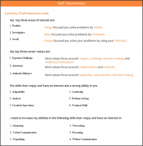 Self Awareness Audit Summary Self Awareness Audit Summary