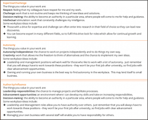 Career Values Summary Career Values Summary
