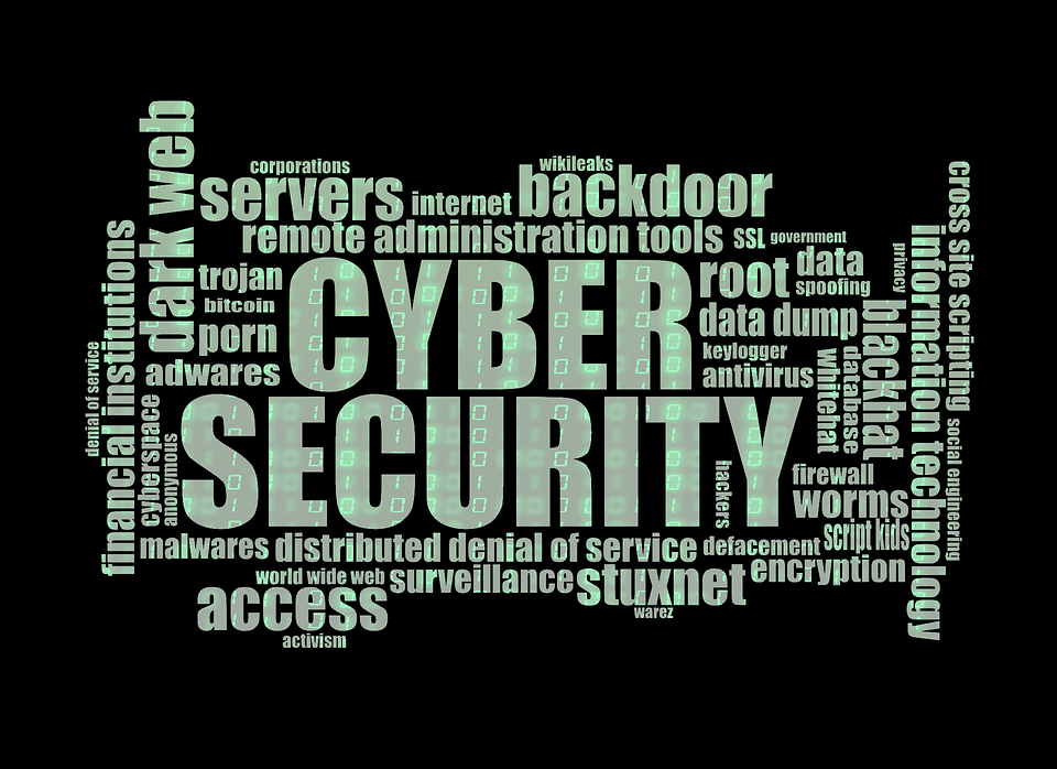 cyber-security cyber-security